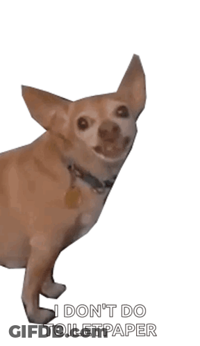 Black And White Wolf With Open Mouth GIF