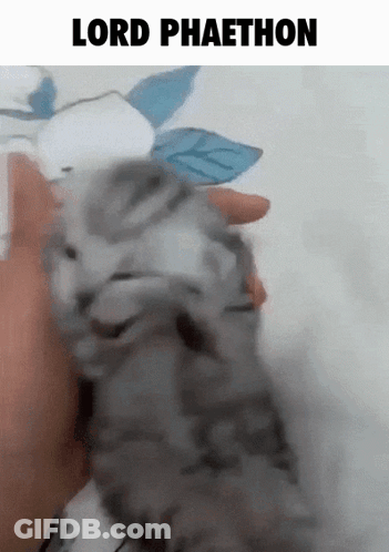Black And White Woman Covering Face Saying Let Me Cover My Ears GIF