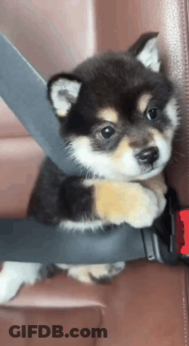 Black And White Woman Everybody Thinks I'm Happy GIF