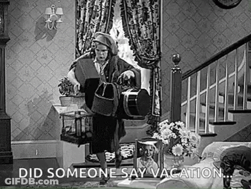 Black And White Woman Holding Bag And Dog GIF