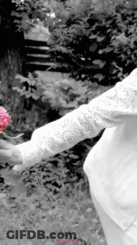 Black And White Woman Holding Pink Flower GIF