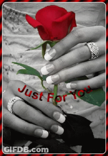 Black And White Woman Holding Red Rose With Just For You GIF