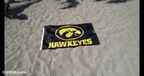 Black And Yellow Hawkeyes Flag In Sand GIF