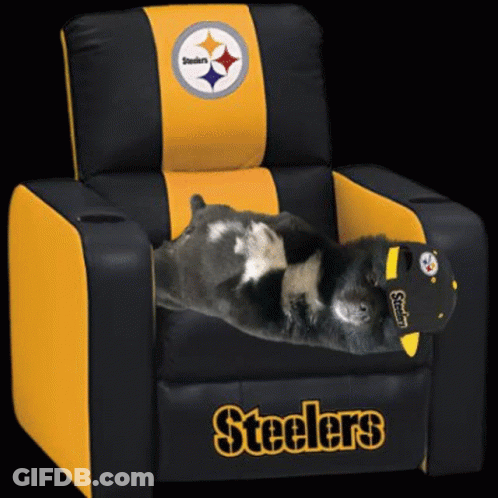 Black And Yellow Steelers Chair With Dog GIF