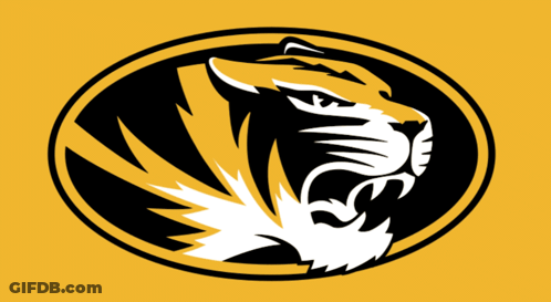 Black And Yellow Tiger Head Logo GIF