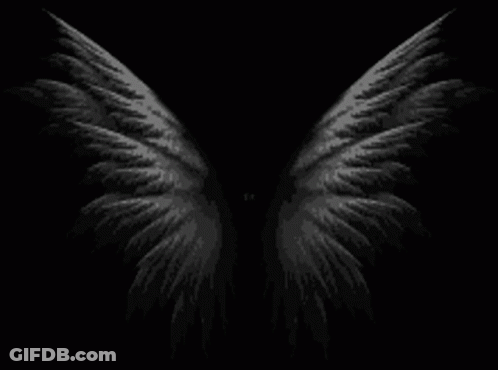 Black Angel Wings Spread Out GIF