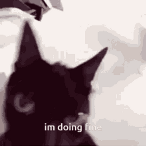 Black Angry Cat Memes I Am Doing Fine GIF