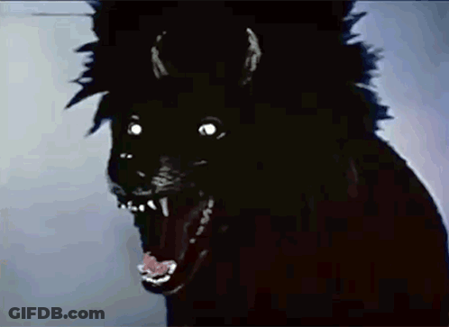 Black Animal With Horns And Glowing Eyes GIF