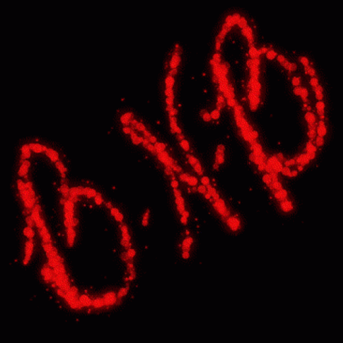 Black Background BRB GIF