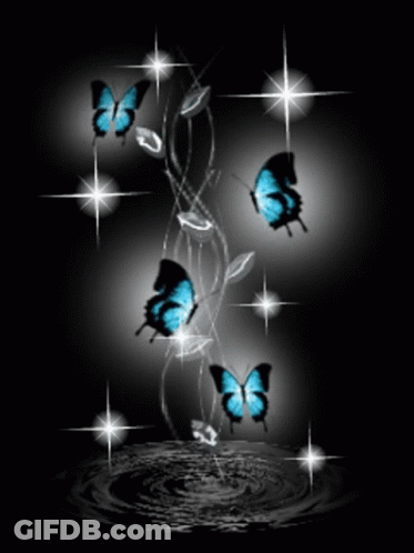 Black Background With Blue Butterflies And Diamonds GIF