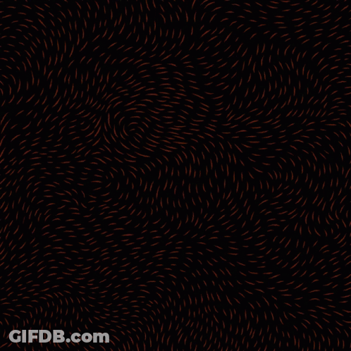 Black Background With His Name Was Adam Toledo GIF