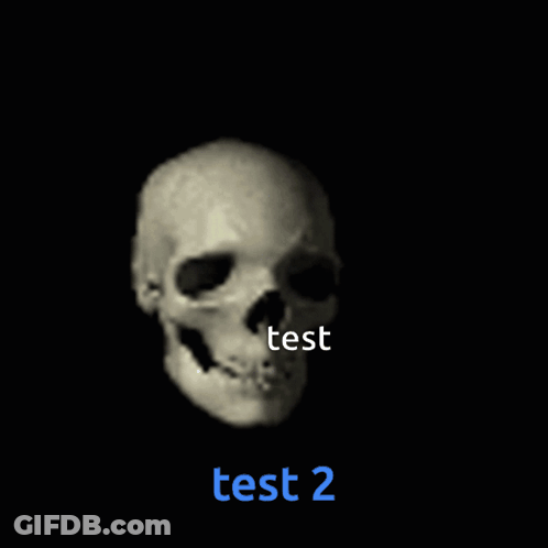 Black Background With Skull Saying Test And Test 2 GIF