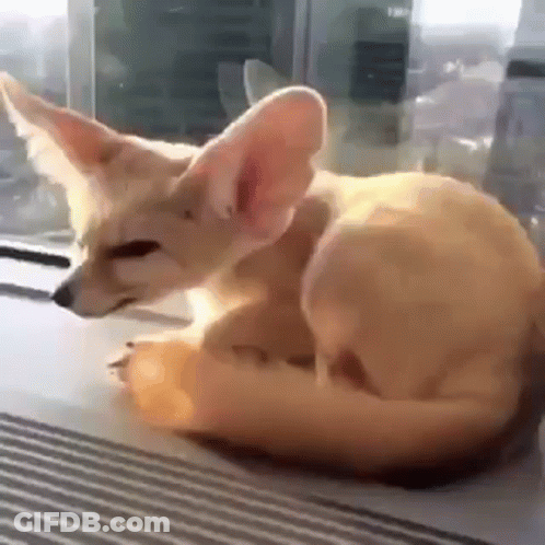 Black Background With White Spots GIF