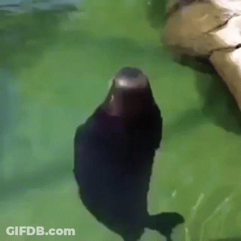 Black Background With White Spots GIF