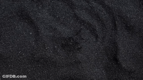 Black Background Yellow Letters Nomnom Noob GIF