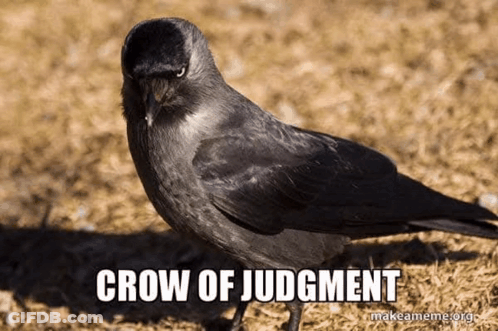 Black Bird Crow Of Judgment GIF
