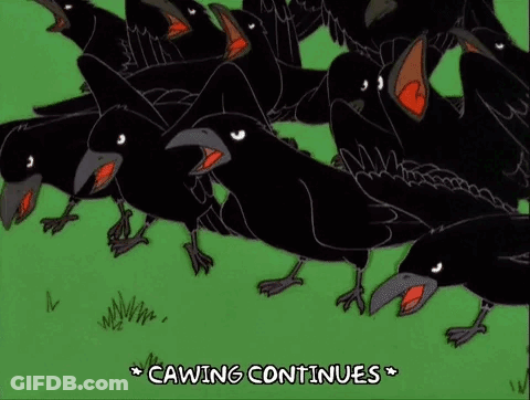 Black Bird Held In Hand Those Who Crow GIF