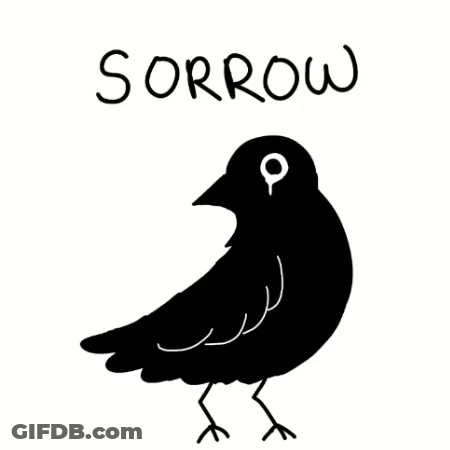 Black Bird Saying Sorrow GIF