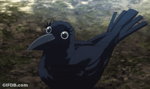Black Bird With Long Beak Standing On Rocky Surface GIF