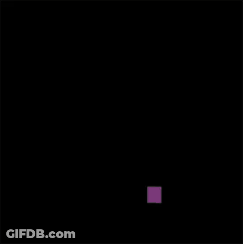 Black Bird With Purple Square GIF