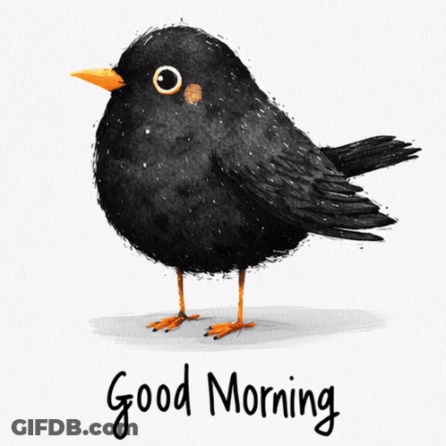 Black Bird With Yellow Beak Saying Good Morning GIF