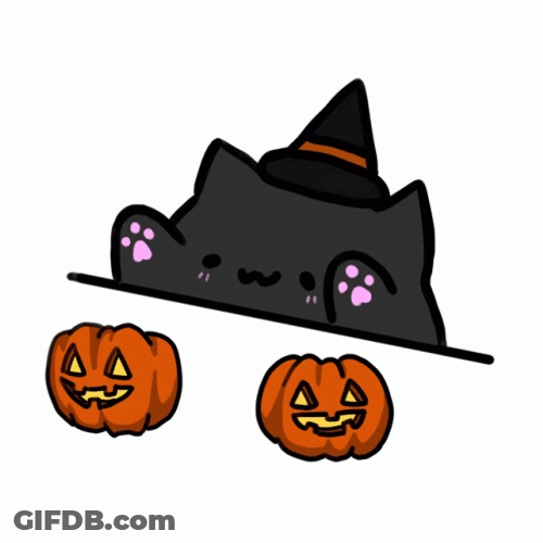 Black Bongo Cat Dressed As Witch GIF