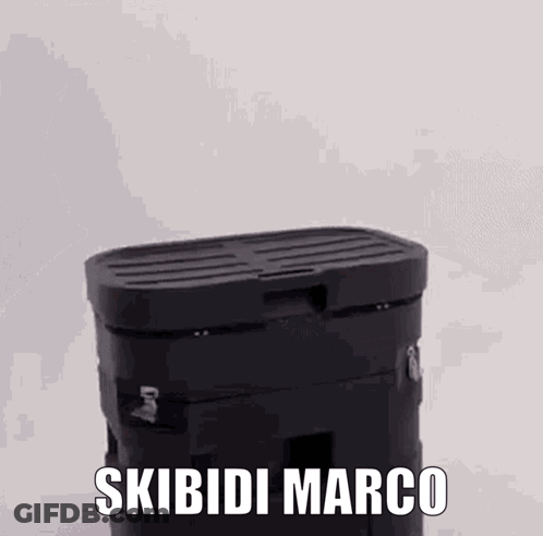 Black Box With Skibidi Marco GIF