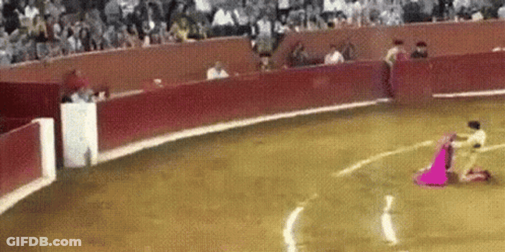 Black Bull Attacking A Man GIF