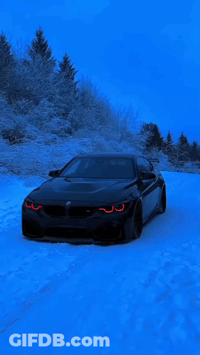 Black Car Parked In Snow In Front Of Snowy Forest GIF