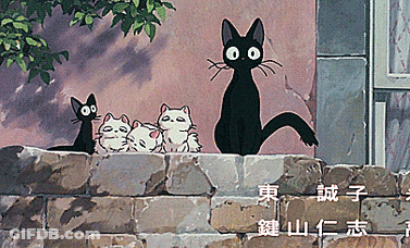 Black Cat And Three Kittens GIF