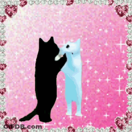 Black Cat And White Cat Hugging On Pink Background GIF