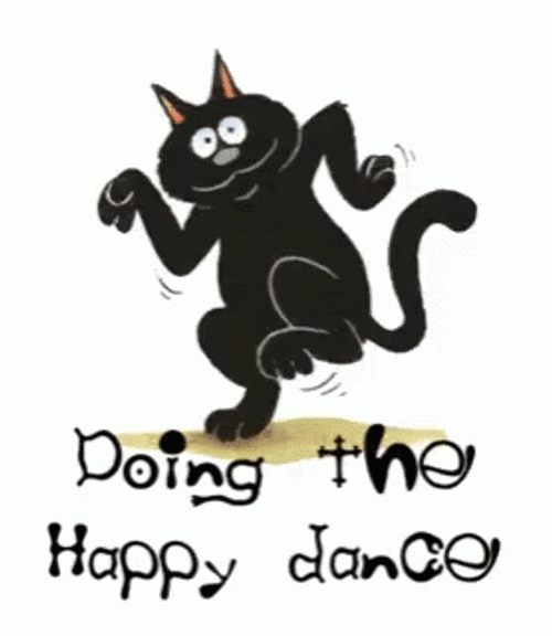 Black Cat Animation Doing The Happy Dance GIF