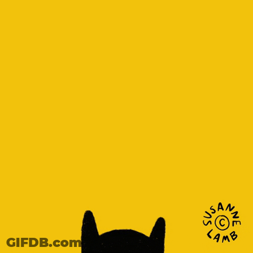 Black Cat As Bird Flying GIF
