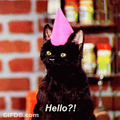Black Cat Birthday Hat Hello GIF