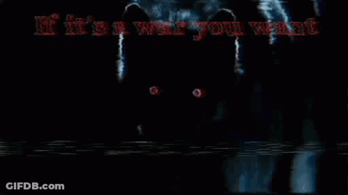Black Cat By Fire Saying Than You'll Get GIF