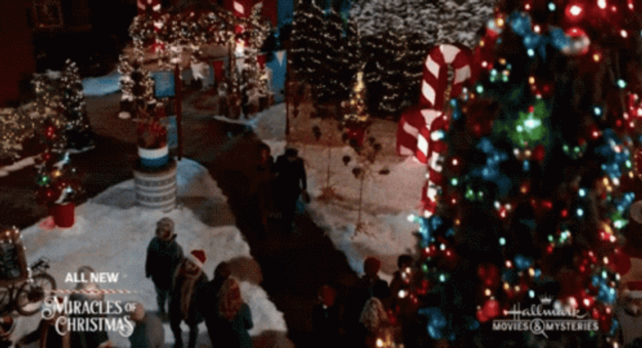 Black Cat Christmas In July GIF