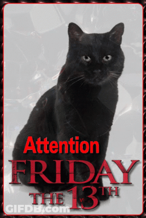 Black Cat Color Changing Eyes Friday The 13Th GIF