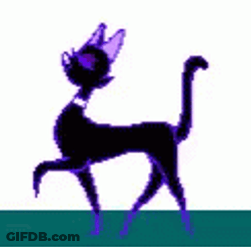 Black Cat Confident Walking GIF