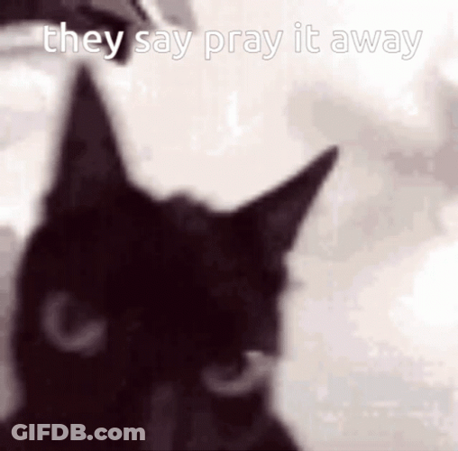 Black Cat Did You Pray Today Meme GIF