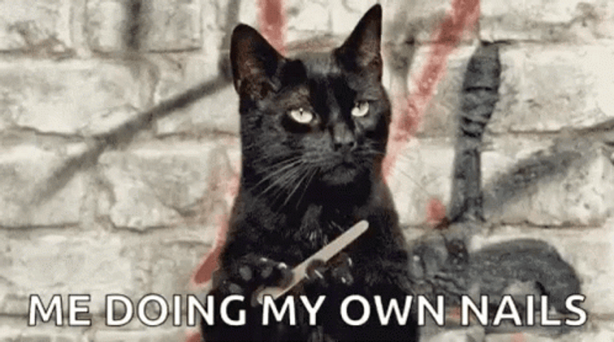Black Cat Doing Own Nail File GIF
