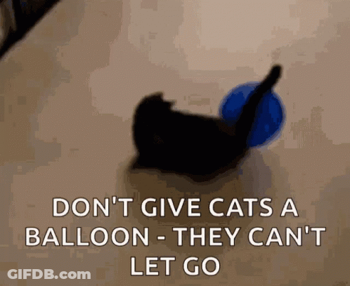 Black Cat Dont Give Cats A Balloon GIF