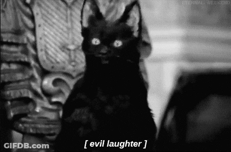 Black Cat Evil Laughing Muahahaha GIF