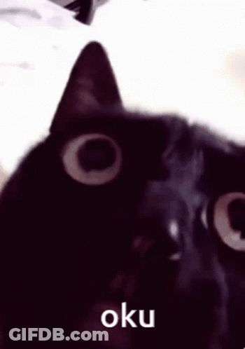 Black Cat Face Close Up With Oku GIF