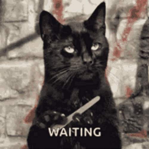 Black Cat Filing Nails Salem Bored I'm Waiting GIF