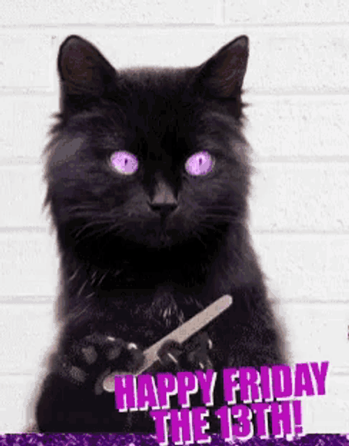 Black Cat Friday GIF