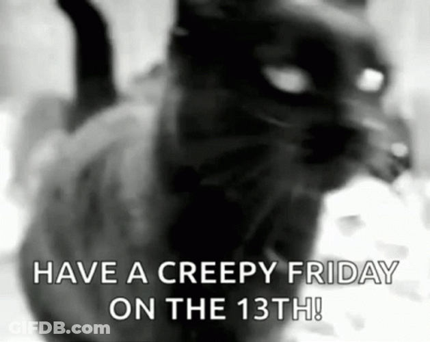 Black Cat Friday The 13Th GIF