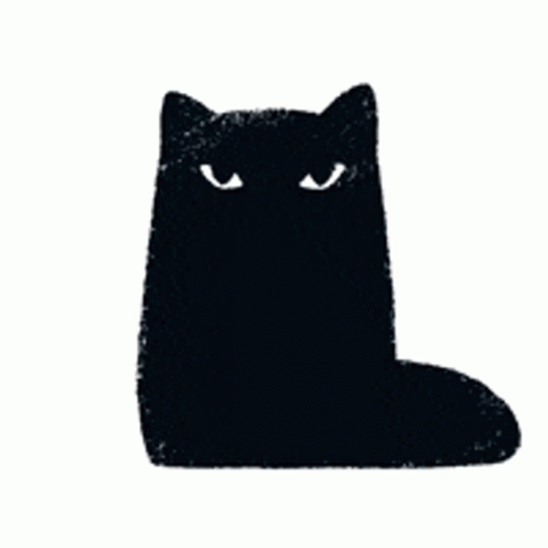 Black Cat Glare GIF