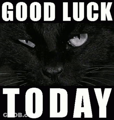 Black Cat Good Luck Today GIF