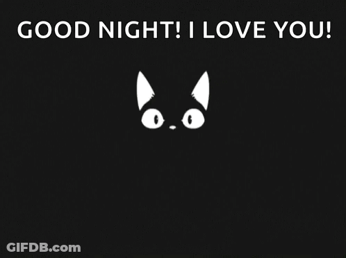 Black Cat Good Night I Love You GIF