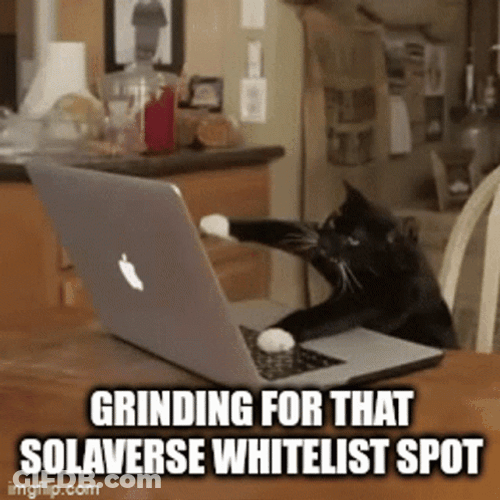 Black Cat Grinding For Solaverse Whitelist Spot Meme GIF